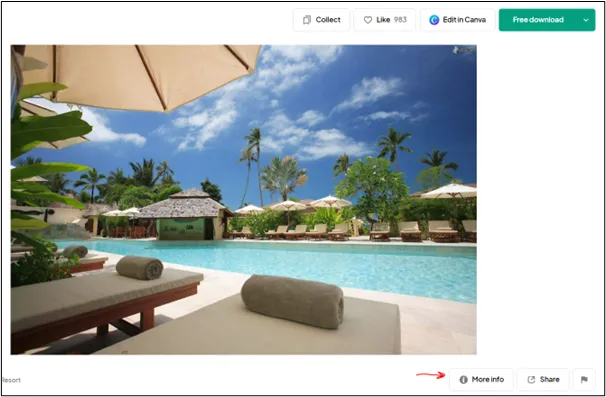 תמונות להורדה בחינם PEXELS