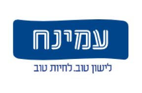 brn-seo-logo-05